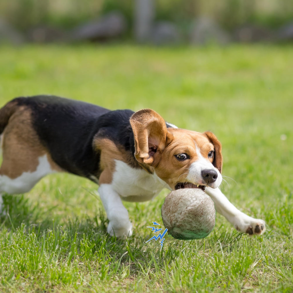 Nocciola Wobble Giggle Ball for Dogs, Interactive Dog Toys for Boredom, Squeaky Ball Dog Toys to Keep Them Busy, Pet Toys for Small Medium Large Dogs, Fun Giggle Sounds When Rolled or Shaken (S)
