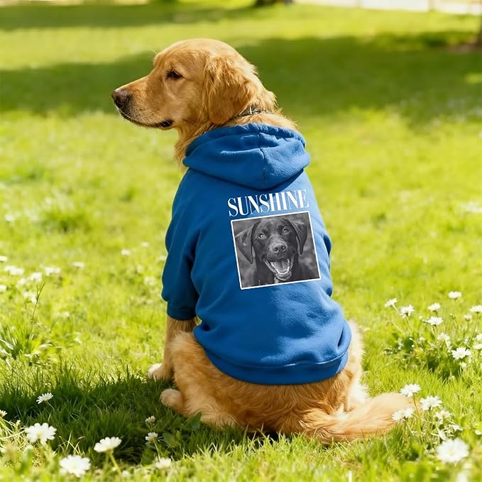 Personalized Name Dog Hoodie, Print Hoodies Pets Name, Custom Pet Memorial, Bright Puppy Sweatshirt, Customized Pet Clothes Warm Winter Outfit for Dogs, Gift for Dog Lovers Style 5