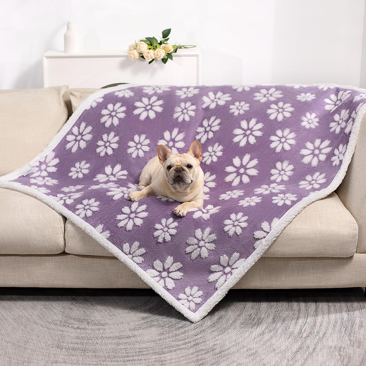 Yaning Cute Waterproof Blanket for Dog Puppy Cat, 30"x40", Purple