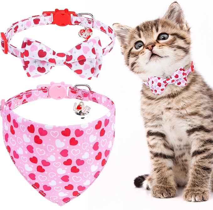 EXPAWLORER Cute Cat Collar Breakaway with Bells