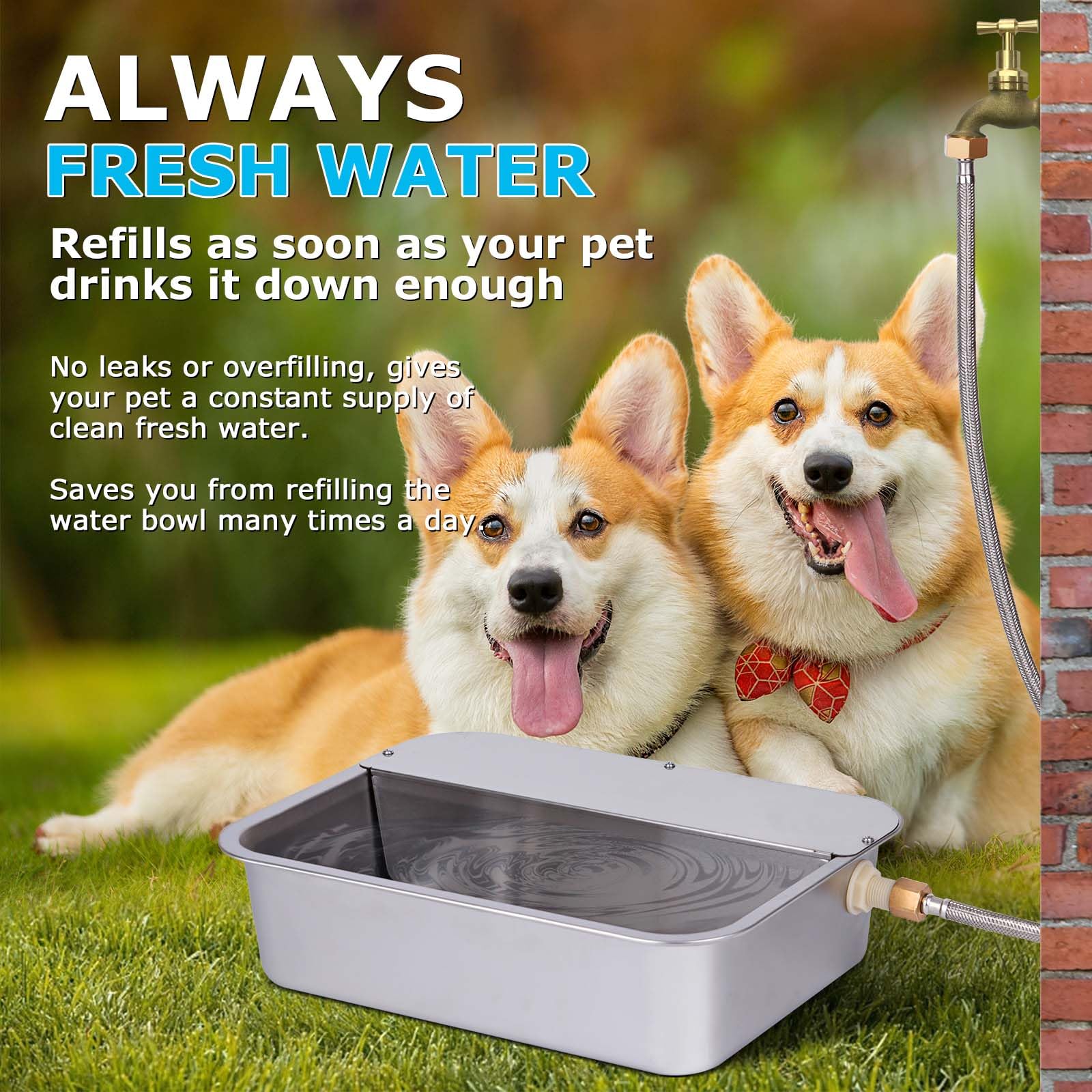 ZHEQOGZH 3 Gallon Automatic Dog Water Bowl Dispenser Outdoor Dog Waterer