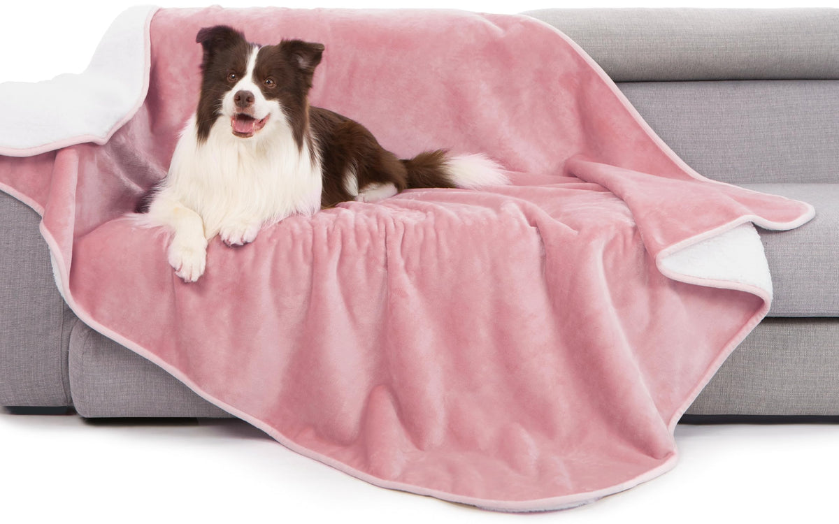 gogobunny Waterproof Bed Blanket, Reversible Sherpa Fleece Throw Blanket for Dog Puppy Cat, Furniture Cover Protects Bed Couch Sofa from Liquid Pee and Pet Fur (Cream, 90x108 inches)