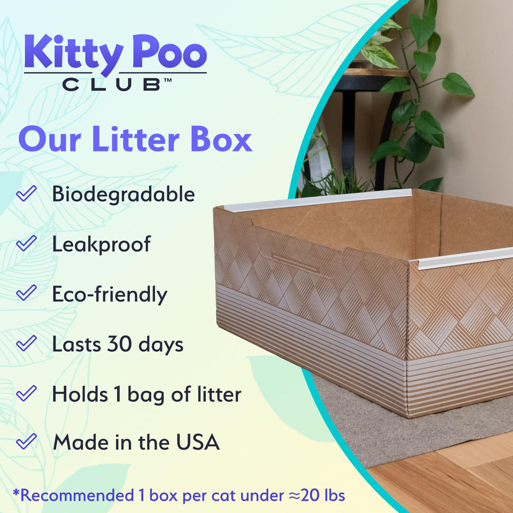 Kitty Poo Club Disposable Cat Litter Box 2-Pack with Soy Litter