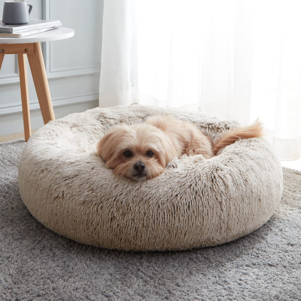 Western Home Calming Donut Small Dog Cat Bed Washable Puppy Bed,24" Rainbow