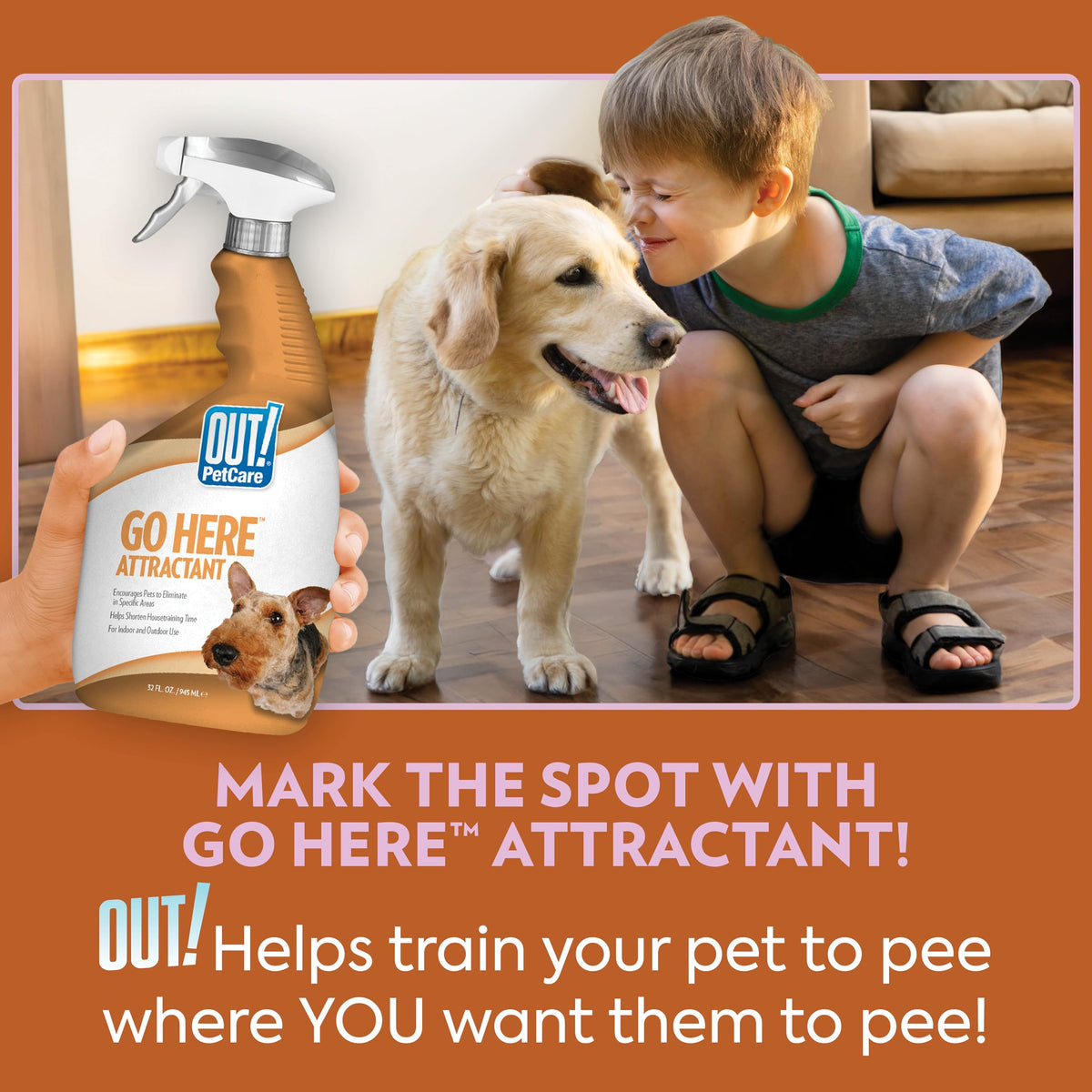OUT! PetCare Pee Here Attractant, Potty Training Spray for Dogs, 32oz