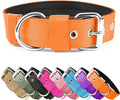 Heavy Duty Tactical Dog Collar - 1.5" Width Military Durable Thick Nylon with Adjustable Metal D Ring & Buckle Working Training K9 Collar for Medium Large Dogs (L(20"-23"), Orange)
