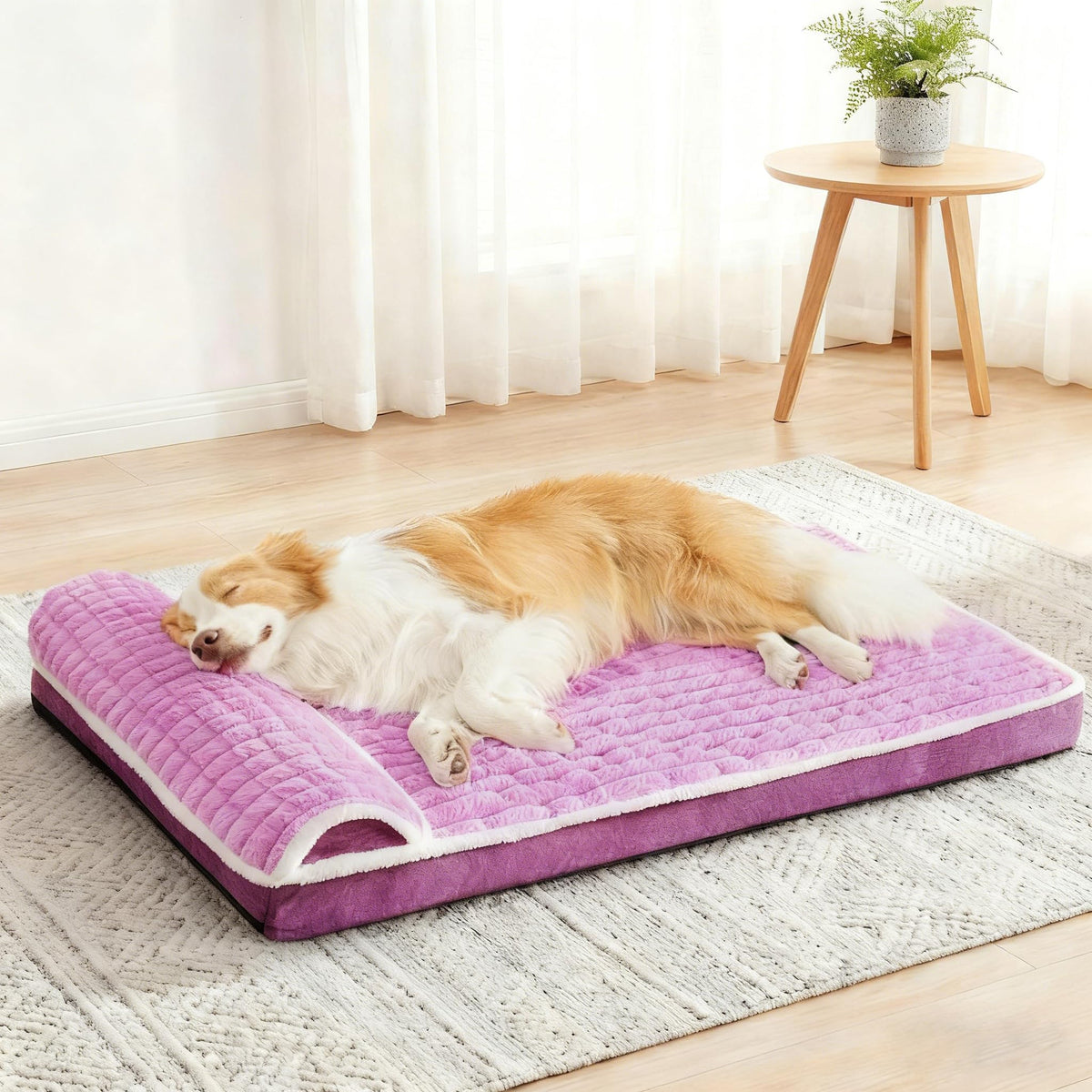 Jolifield Orthopedic Large Dog Bed Pillow Pet Sofa Bed 36''X24'' Ivory