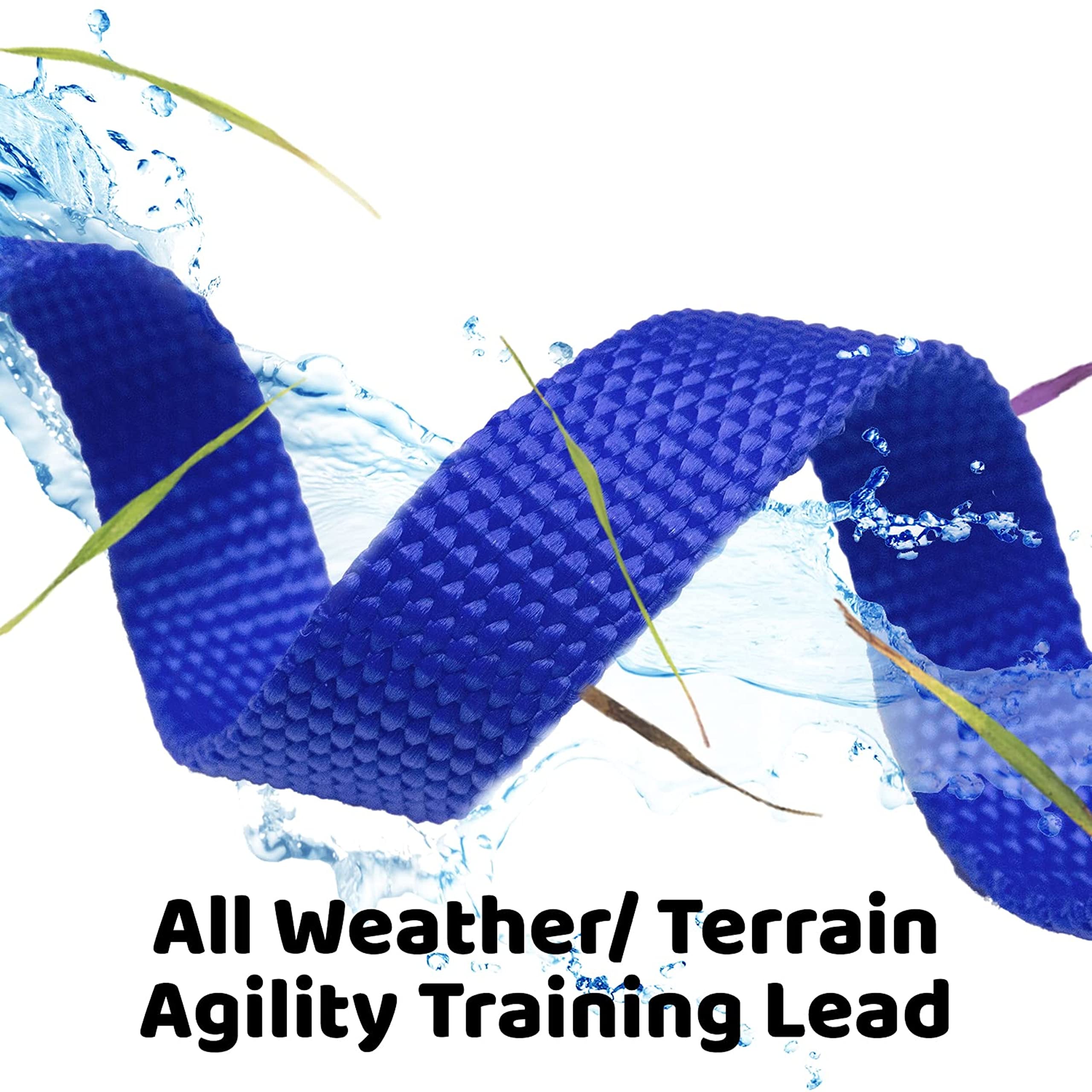 Long Dog Puppy Obedience Recall Training Agility Lead, Leash - BLUE, 15' Foot - by, Downtown Pet Supply