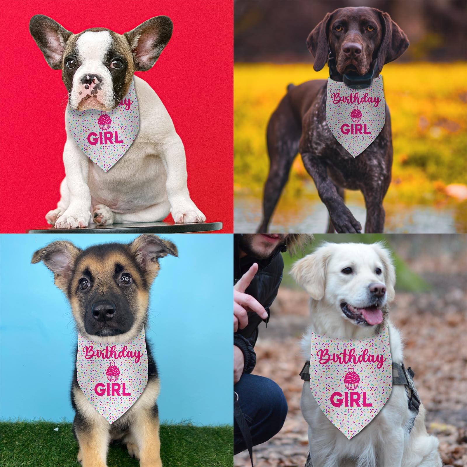 Dog Birthday Bandana Birthday Girl Pet Scarf Bibs Accessories Party Supplies for Dog Lover Small Medium Puppy Bandanas Girl