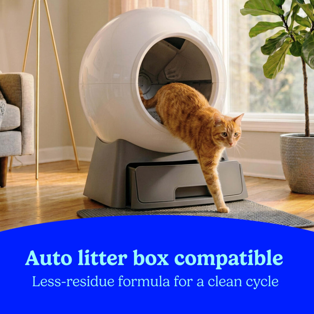 Fresh Step Odor Shield Multi Cat Clumping Cat Litter with Gain, 14 lb.