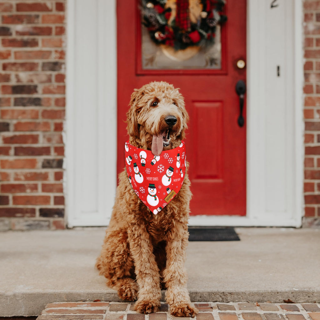 THLOH Christmas Dog Bandanas with Snap Button - 2 Pack Reversible Santa Claus Dog Scarf for Boy & Girl, Dog, Christmas Tree Holiday Bandana for Medium and Large Dogs (Large)