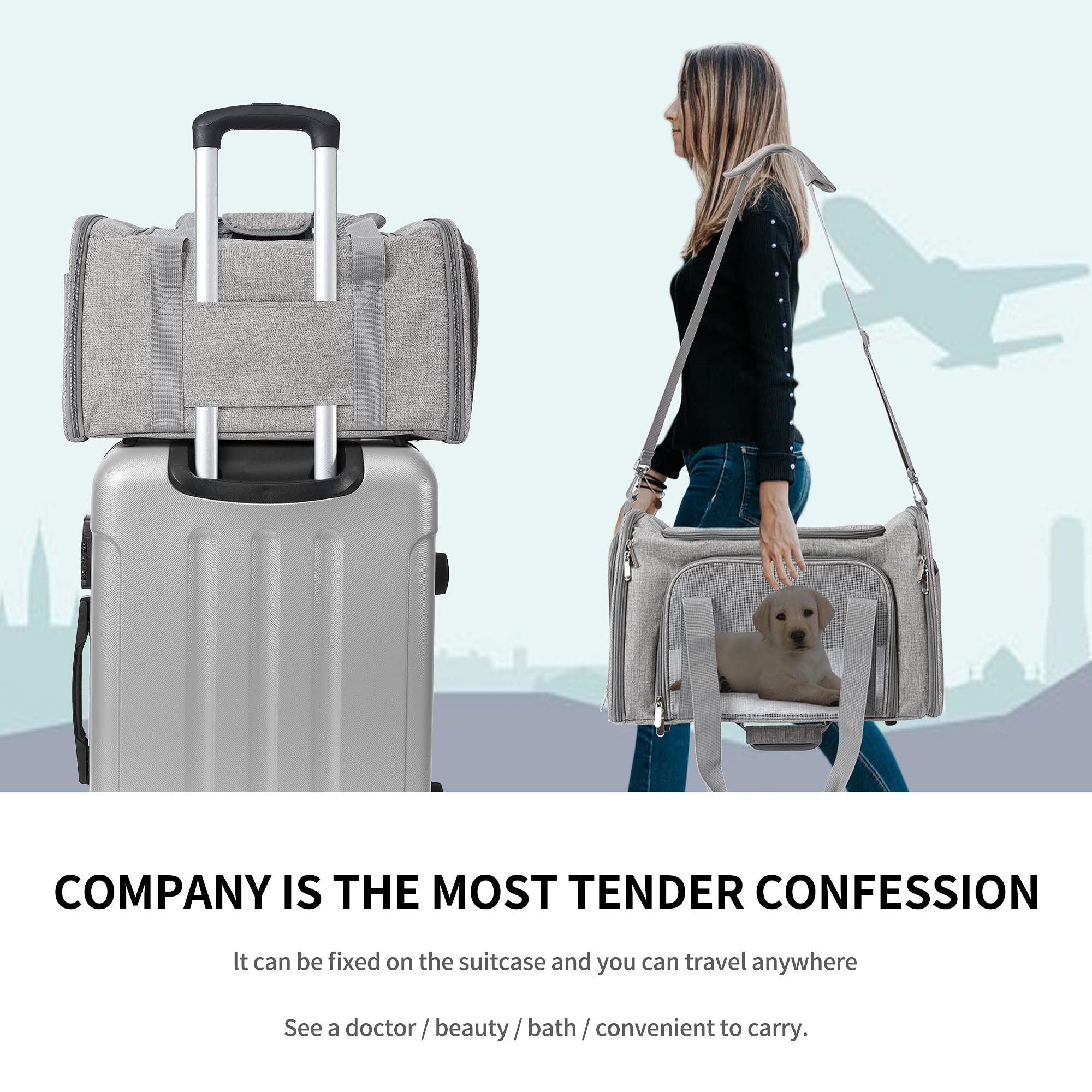 Mile High Life | Outdoor Travel Pet Carrier | Kitty Puppy Cat Carriers | Collapsible Dog Carrier for Small Medium Dogs | Cat Crates w Breathable Mesh with Soft-Sided (Grey, Medium)