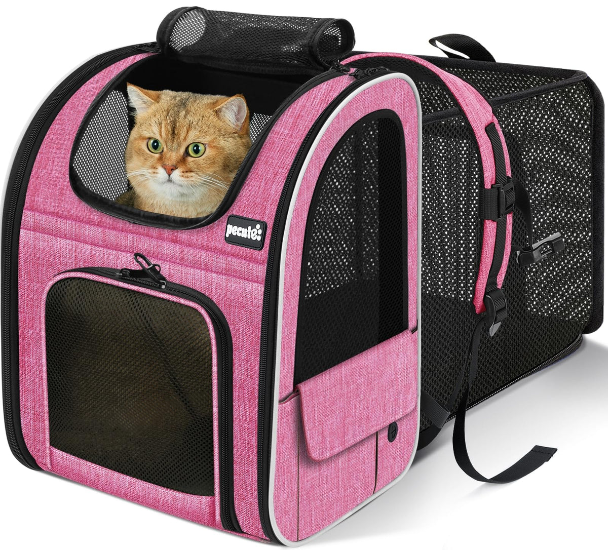pecute Cat Backpack Expandable, Cat Carrier Backpack with Acrylic Window