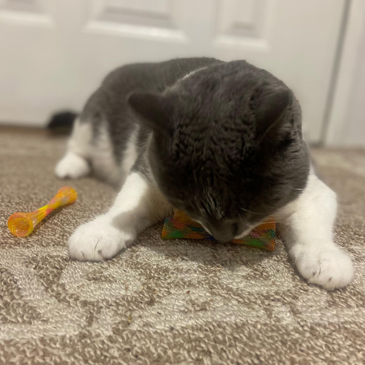 SPOT Kitty Fun Tubes Cat Toy with Catnip Inside | Bouncy Interactive Mesh Toy for Cats and Kittens to Bite, Swat and Chase | 3 Pieces
