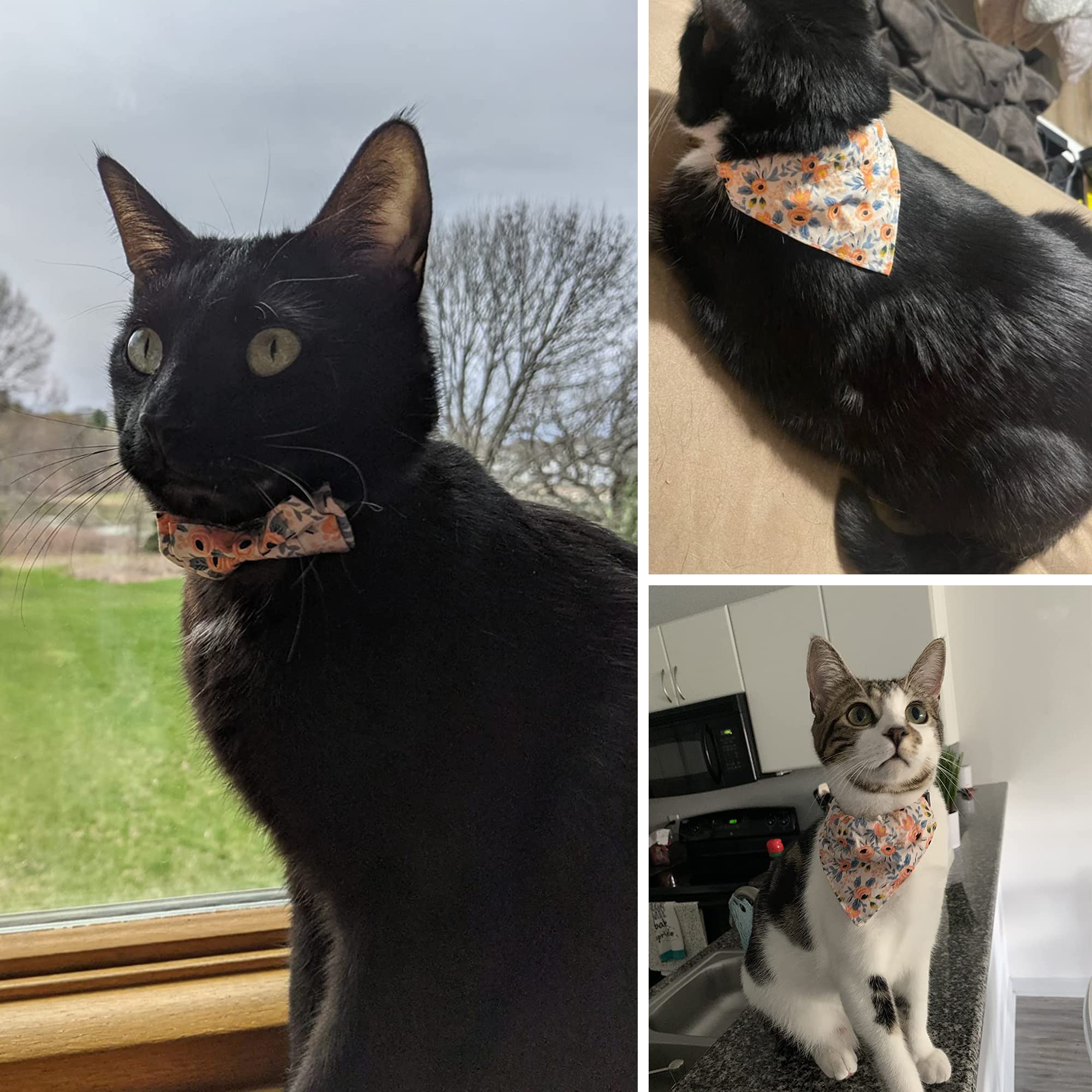 ADOGGYGO Floral Cat Bandana Collar, Pink Girl Cat Collar with Bowtie Bell