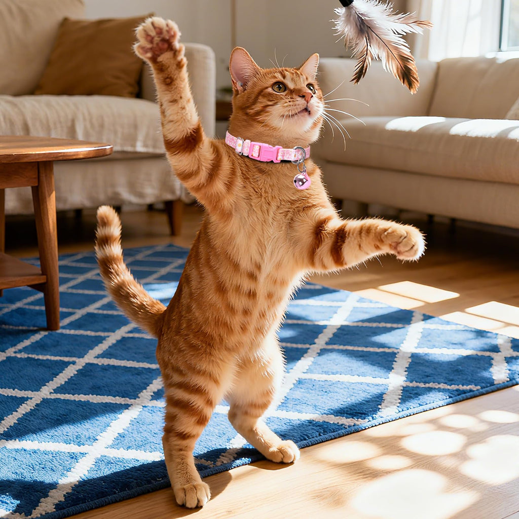 Pink Daisy Dog Collar with Bell,XS XXS Kitten Collars Girls with Buckle