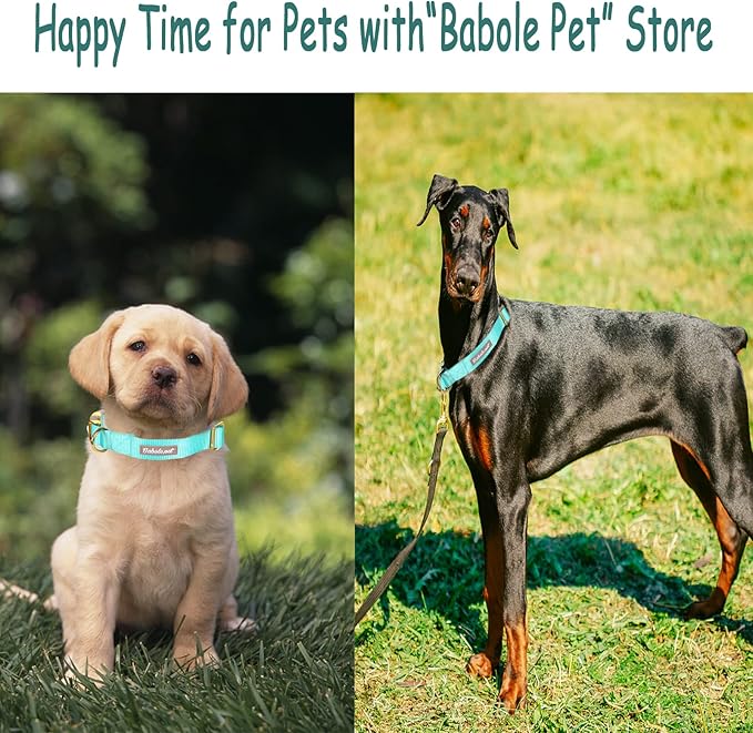Babole Pet Nylon Dog Collar - Adjustable Lake Blue Soft Webbing Dog Collars for Small Medium Large Dogs Boy Girl Puppy Collar with Safety Metal Buckle M
