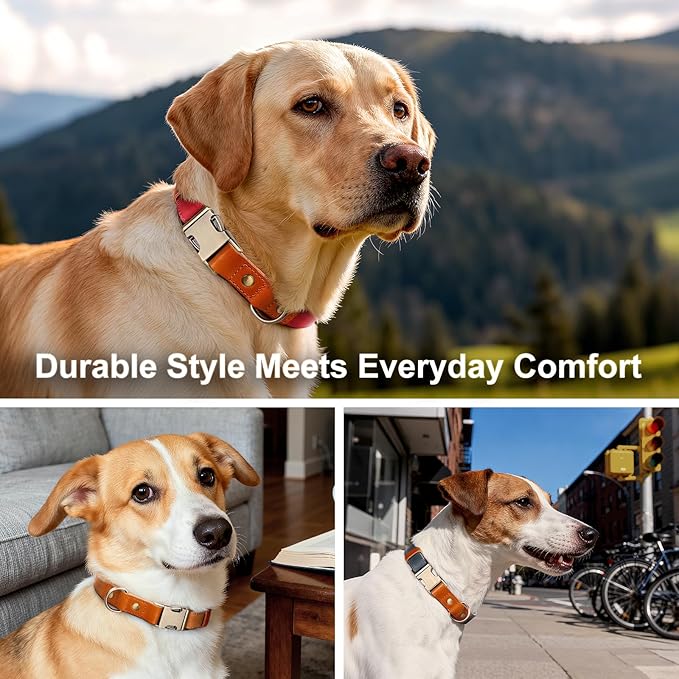 Plutus Pet Genuine Leather & Hemp Dog Collar – Adjustable Heavy Duty Pet Collar with Quick Release Metal Buckle, Soft & Stylish for Puppy and Small, Medium, Large Dogs (Burgundy, M)