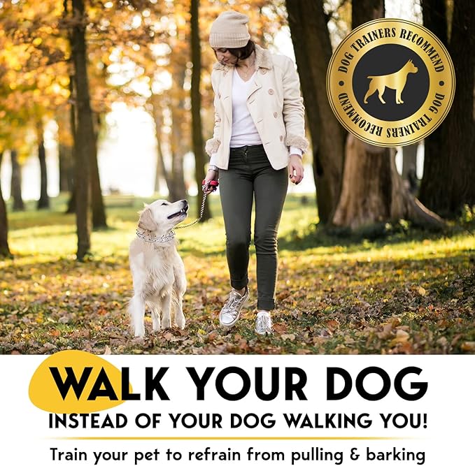 PetJett Prong Collar for Dogs - Choke Collar for Dogs, Pinch Collar for Dog Adjustable No Pull Dog Collar - Training Collar for Small Medium Large Dog Safety Durable Stainless Steel Metal Choker Chain