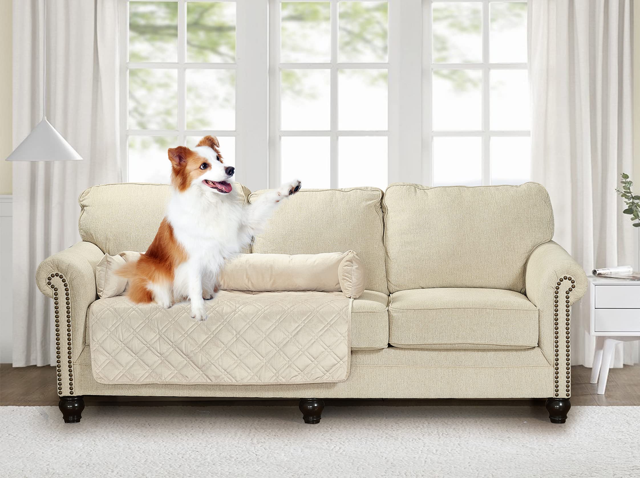 Brilliant Sunshine Latte Grey Paris & Toile Dog Sofa Slipcover, Small