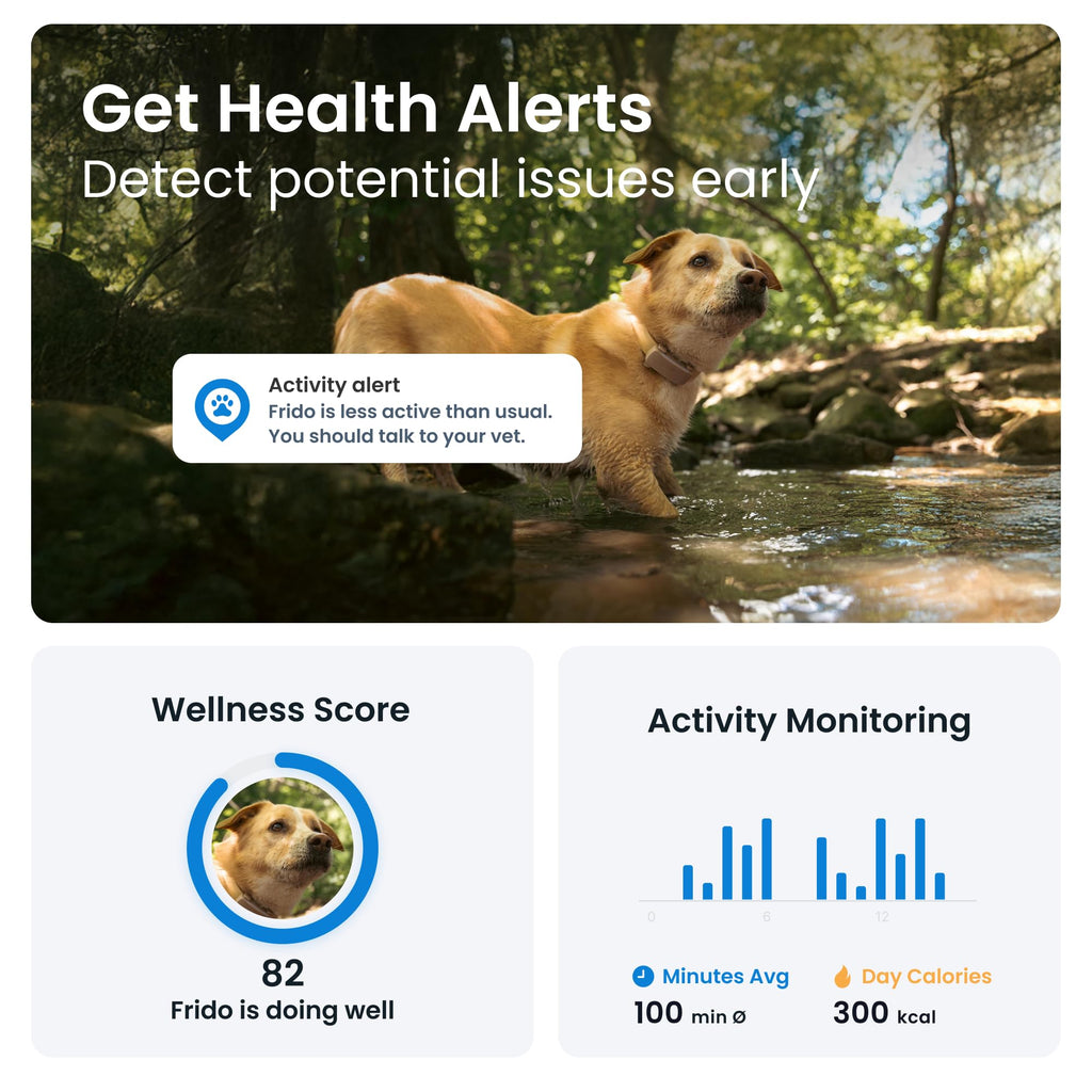 Tractive GPS Dog Tracker (2025 Release) Real-time Pet Location Tracker | Health & Wellness Alerts | Virtual Fence for Dogs | Bark Monitoring (Brown w/Olive Cover)