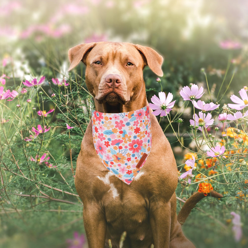 ADOGGYGO Pink Floral Dog Bandanas Girl, Cute Daisy Bandana, Small