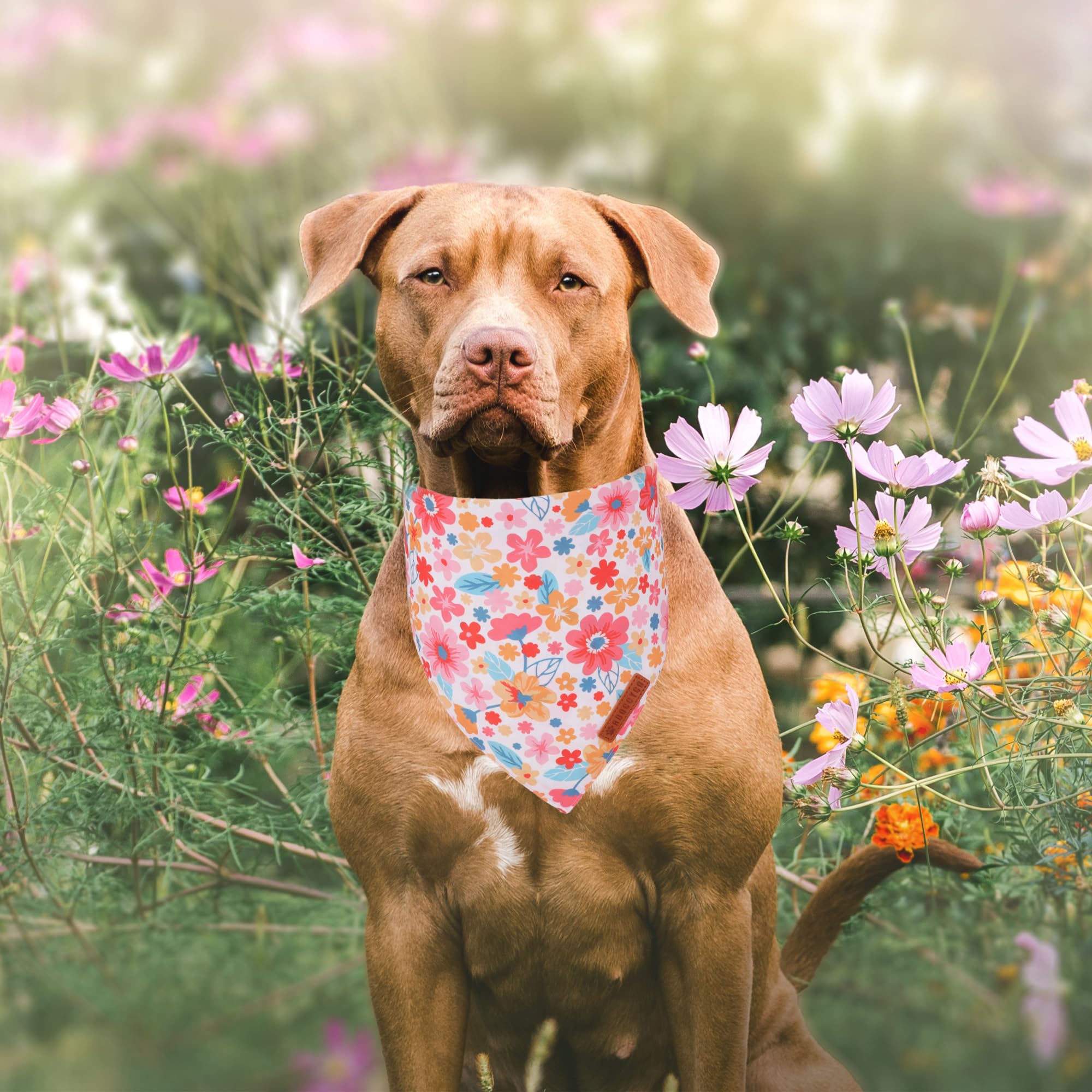 ADOGGYGO Pink Floral Dog Bandanas Girl, Cute Daisy Bandana, Small