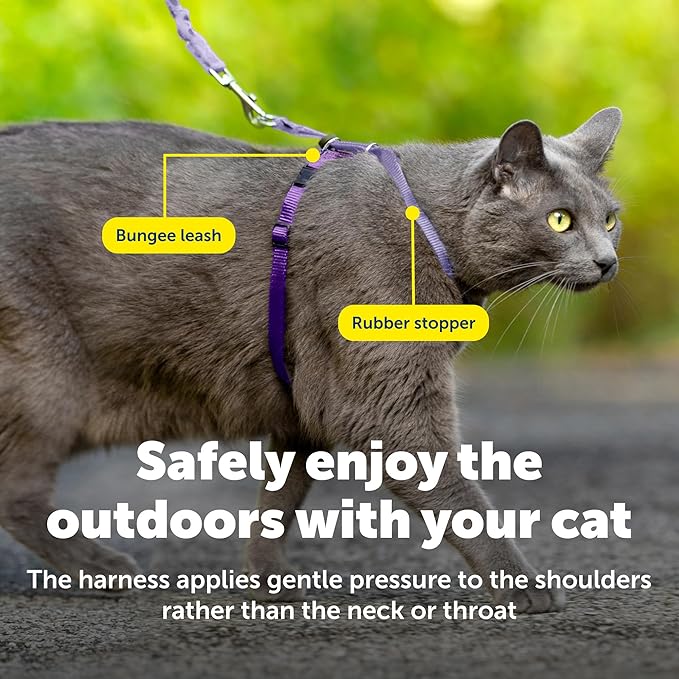 PetSafe Come with Me Kitty Harness and Bungee Leash Adjustable, Lightweight Harness for Cats Large, Lilac