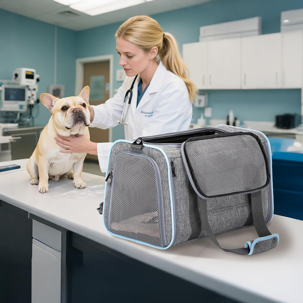Petsfit Large Expandable Cat Carrier for Travel, Up to 18 lb