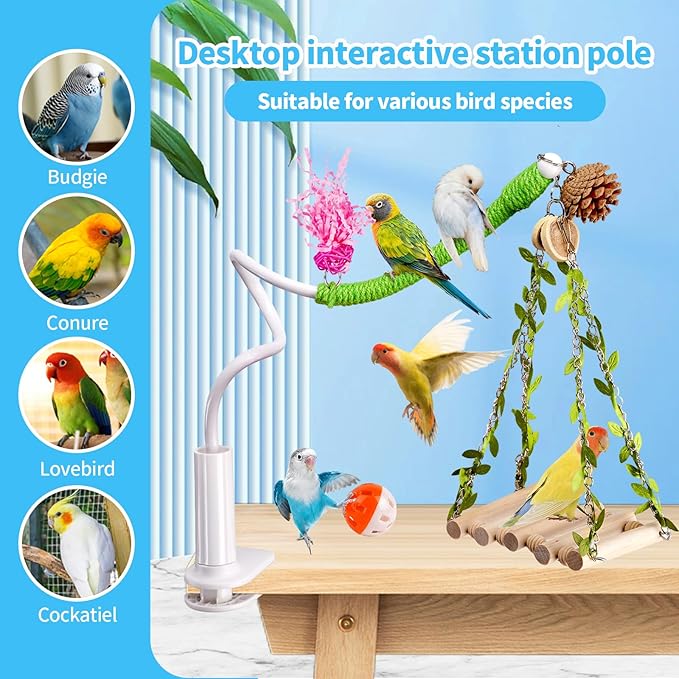 ZooVibe Bird Perch Stand with Swing, Desktop Bird Toy & Stand for Interacting, Interactive Playground for Sun Conure, Lovebirds, Conure, Budgie, Cockatiel - Non-Slip Adjustable Perch