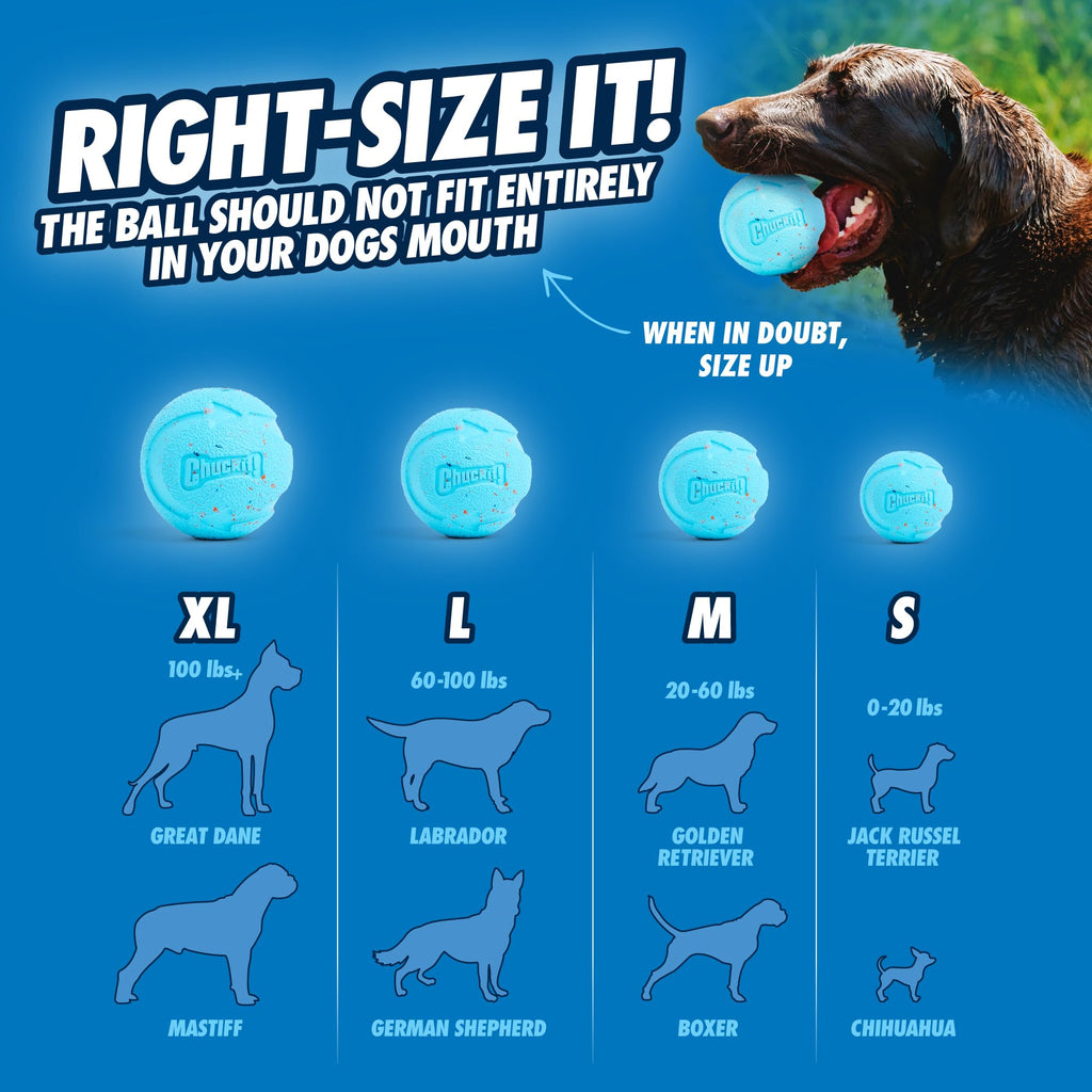 Chuckit! Rebounce Ball Dog Toy, Medium 2.5 Inch, for Dogs 20-60 lbs, Blue