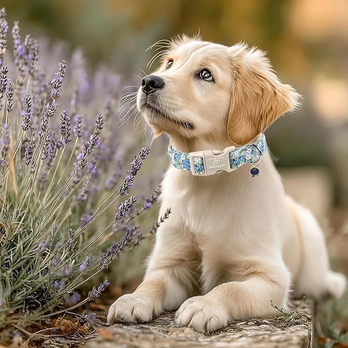 Babole Pet Blueberry Pattern Dog Collar, Cute Light Blue Spring Summer Puppy Collar - Soft Adjustable Designer Dog Collars for Small Medium Large Dogs XS