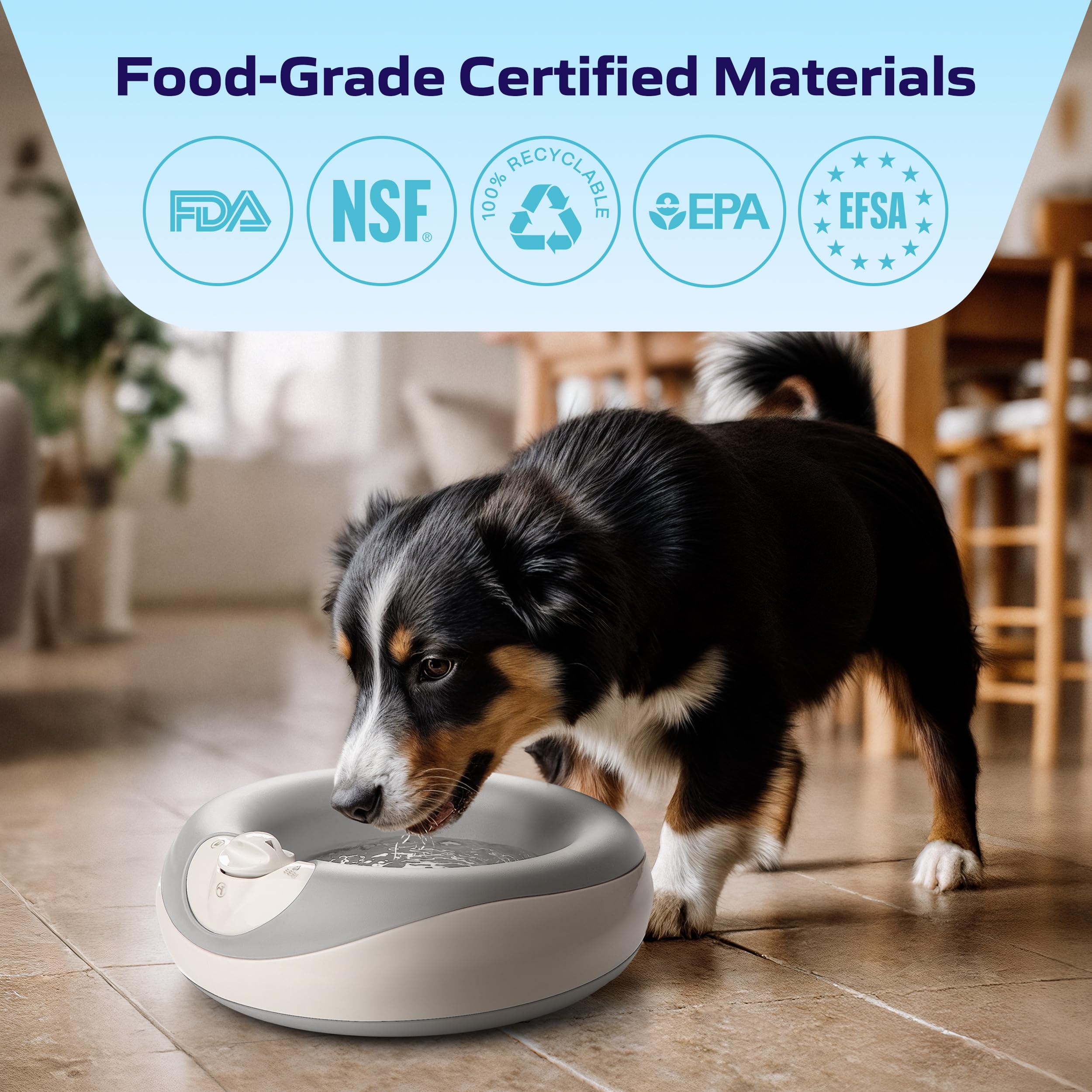 TORUS PET Maxi Filtered Dog Water Bowl, 2L/68oz — No Power or Batteries Needed, Auto-Refill, No Spill, Portable Travel Lock, Carbon Filter, BPA-Free, Dogs & Cats