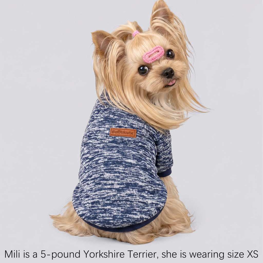3 Pack Dog Sweaters for Small Dogs Girl Boy Winter Fleece Clothes Warm Soft Dog Sweatshirt Outfit for Dogs Cats Pet Apparel