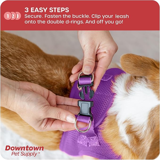 Downtown Pet Supply Step-in Dog Harness – No Pull, Adjustable Padded Mesh with Reflective Trim, Secure Buckle Strap – Comfortable & Breathable Small Dog Harness, X-Small, Purple