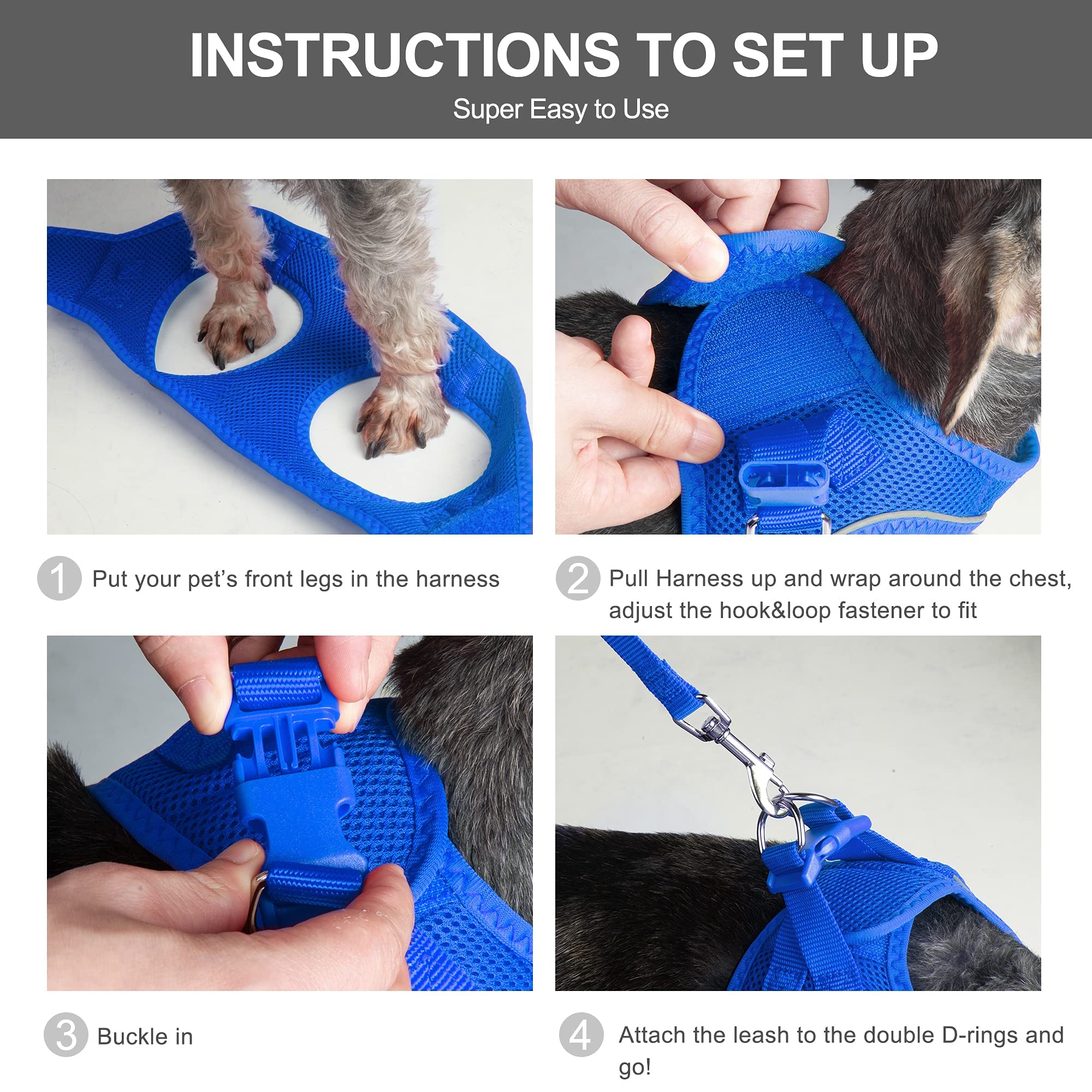 Fida Comfy Dog Harness with Leash, Soft Puppy Vest Escape Proof, Breathable Lightweight Soft Mesh, Adjustable Reflective Step-in Harness for Small Pet Walking (S, Blue)