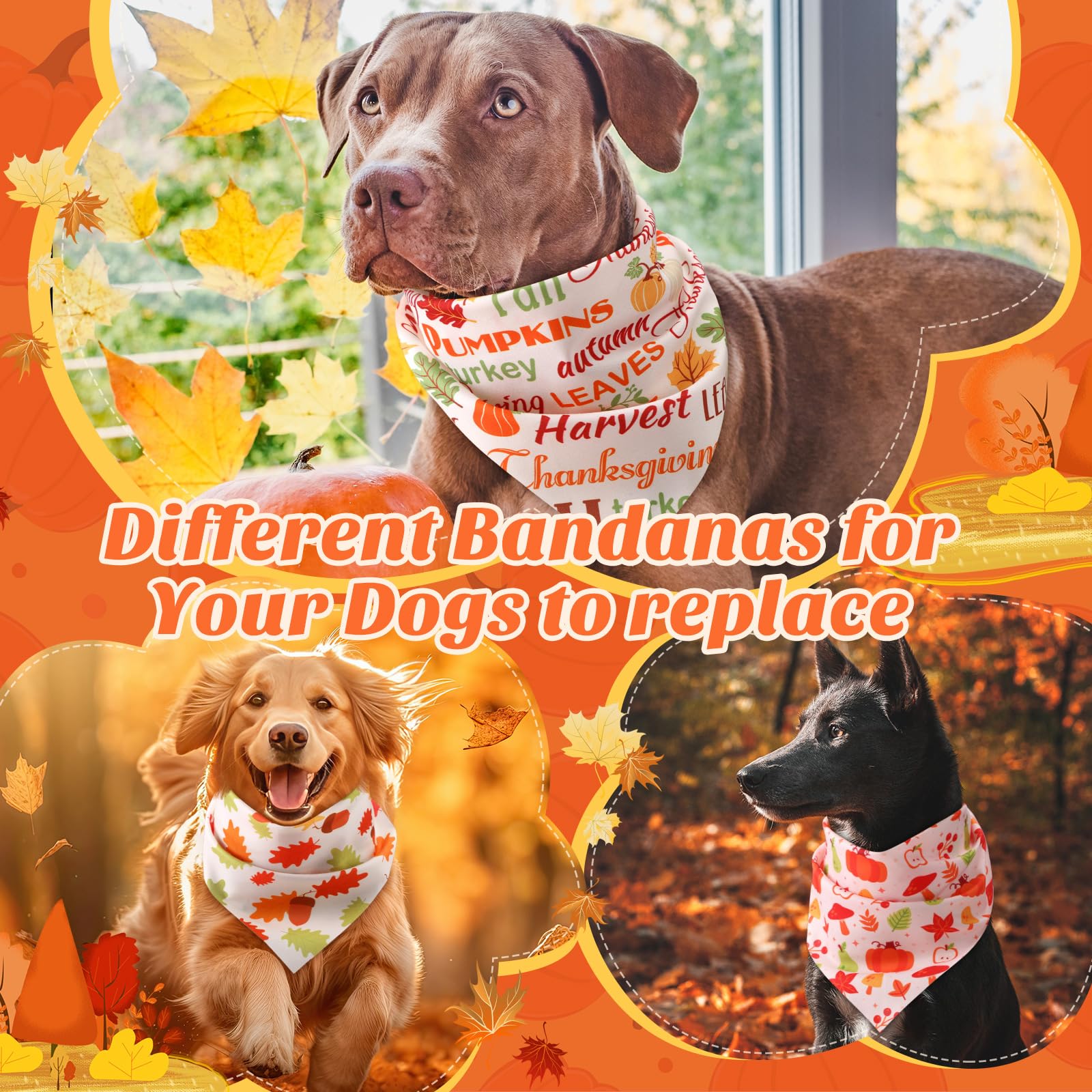 Abbylike 50 Pcs Fall Dog Bandanas Bulk, Autumn Harvest Pumpkin Pattern