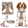 PUPTECK Dog Harness, Collar and Leash Set No Pull for Small Medium Sized