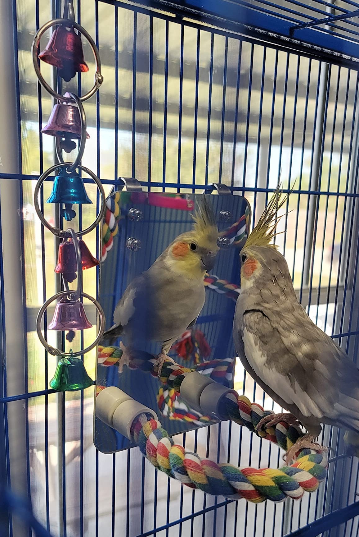 LOPERDEVE 10.6" Bird Mirror with Rope Perch Bird Toys Swing, Comfy Perch for Greys Amazons Parakeet Cockatiel Conure Lovebirds Finch Canaries