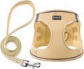 Dog Harness with Leash Set, No Pull Adjustable Reflective Step-in Puppy Pet Vest Harnesses for Small Medium Large Dogs and Cats,Beige L