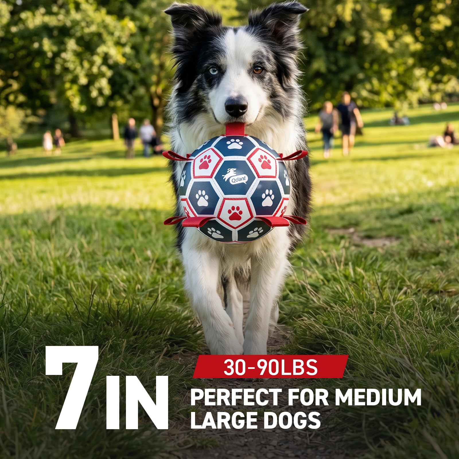 QDAN Dog Toys Soccer Ball with Straps：Durable Balls for Large Dogs, Outdoor Dog Toys, Puppy Birthday Gifts (7 Inch)