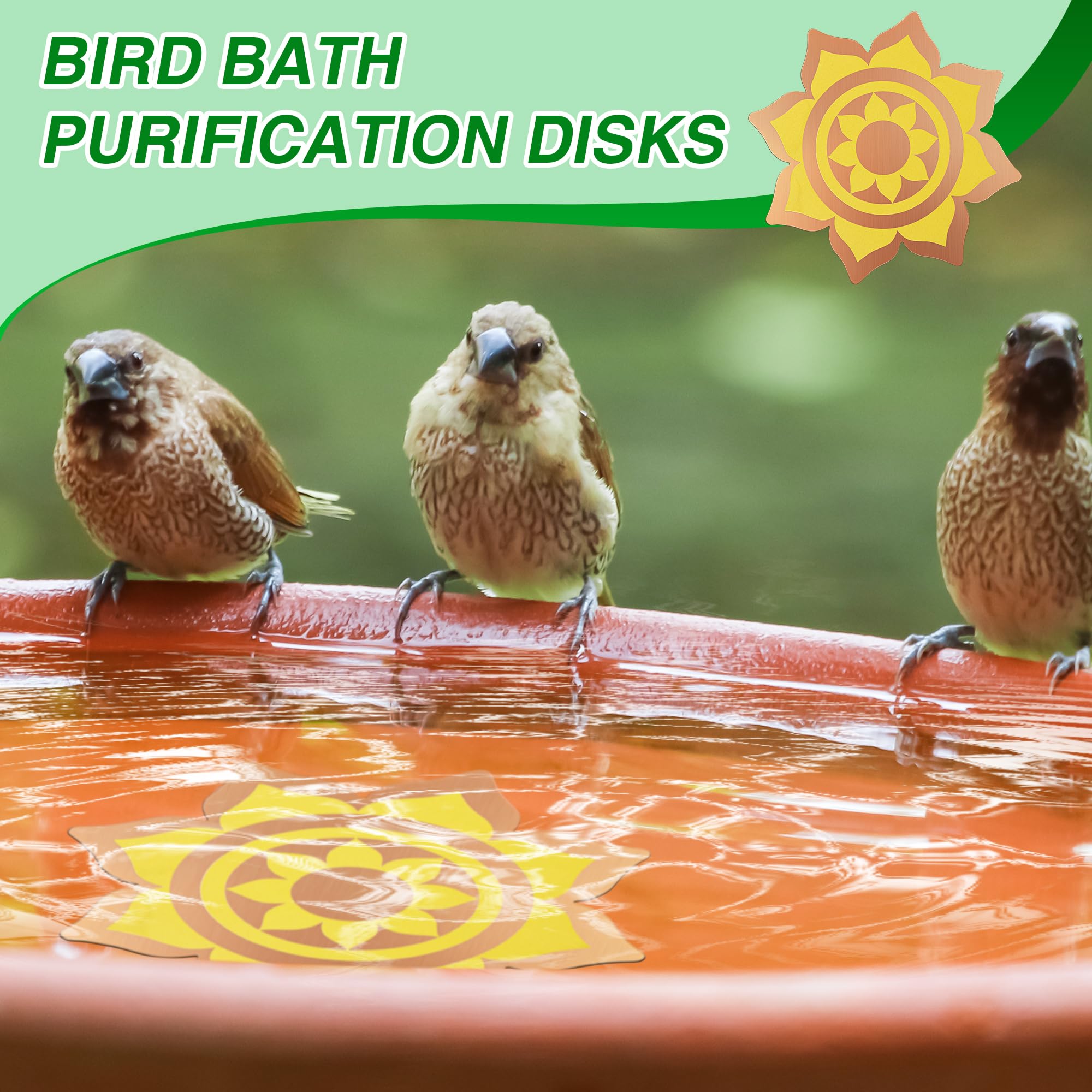 Saillong 2 Pack Bird Bath Copper Disk, Reinforced 99.99% Pure Copper Bird Bath Purification Disk for Physical Clean Water, Birdbaths Cleaner for Outdoor Birdbaths, Bowl and Garden Fountain (Petal)