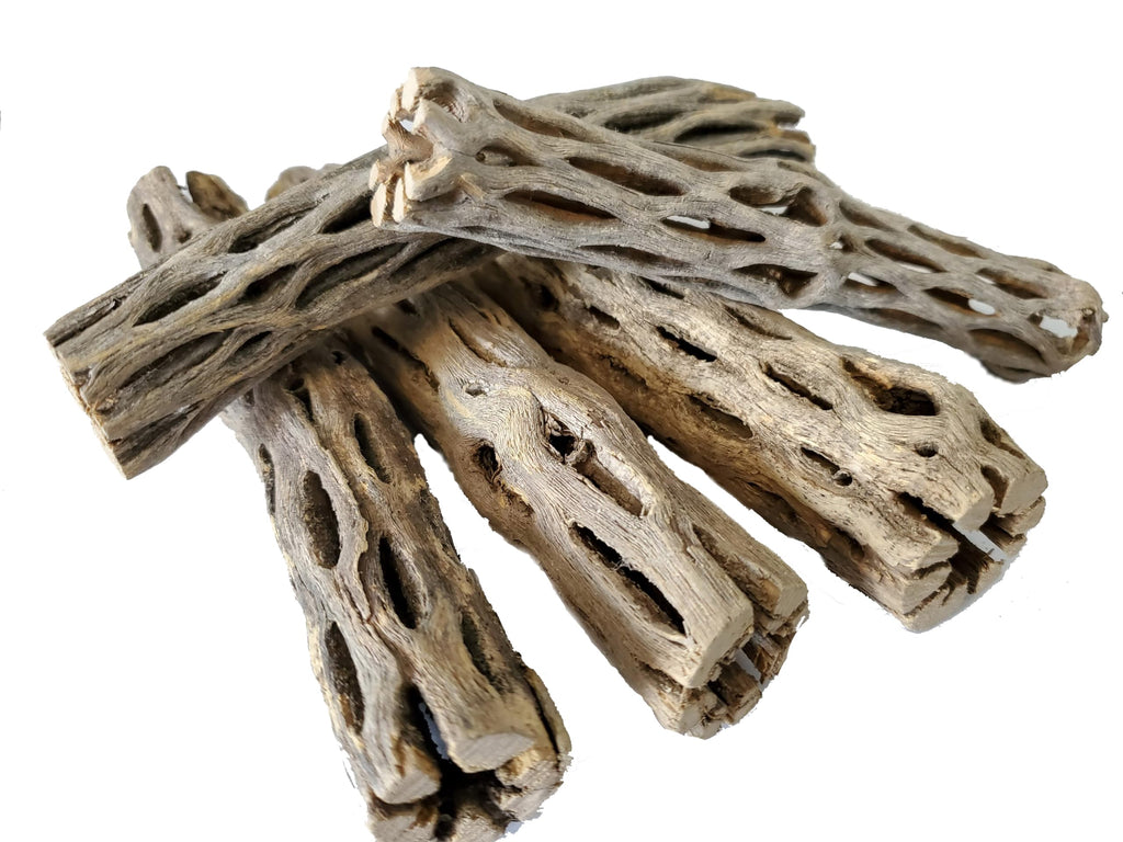 SoShrimp Natural Cholla Wood for Aquarium Decoration Shrimp and Fish Tank (6 Inch (5 Pack))