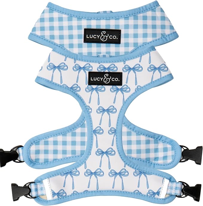 Lucy & Co. Reversible Dog Harness - Water-Repellent Neoprene, Dual-Print Design, Easy Swap Style, Adjustable Comfort Fit - Bowwow Wow! Reversible Harness - Medium