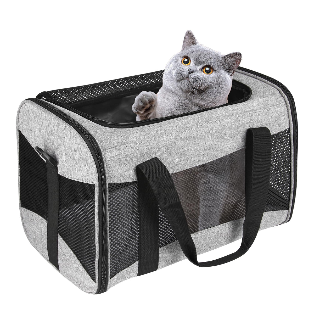 Cat Carrying Case - Pet Carrier Airline Approved, Protable and Breathable Pet Travel Carrier Removable Fleece Pad, Collapsible Cat Carrier Dog Carrier for Medium Cats Small Cats Dogs (Small, Black)
