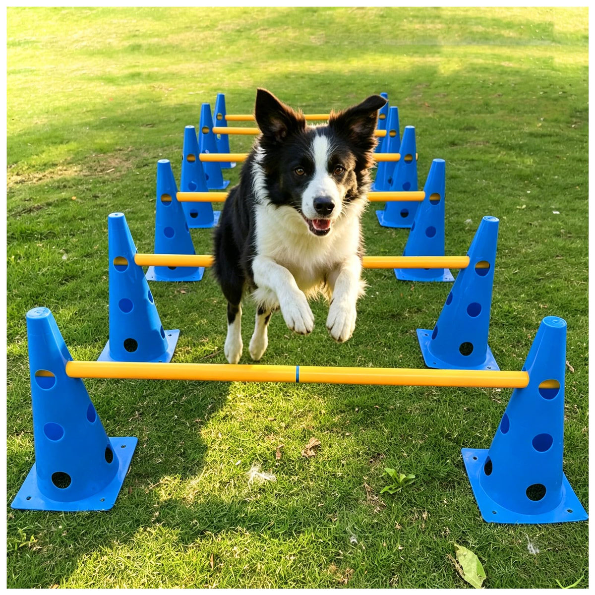 AHAILUOO Adjustable Dog Agility Hurdles with Carry Bag, 2 Sets