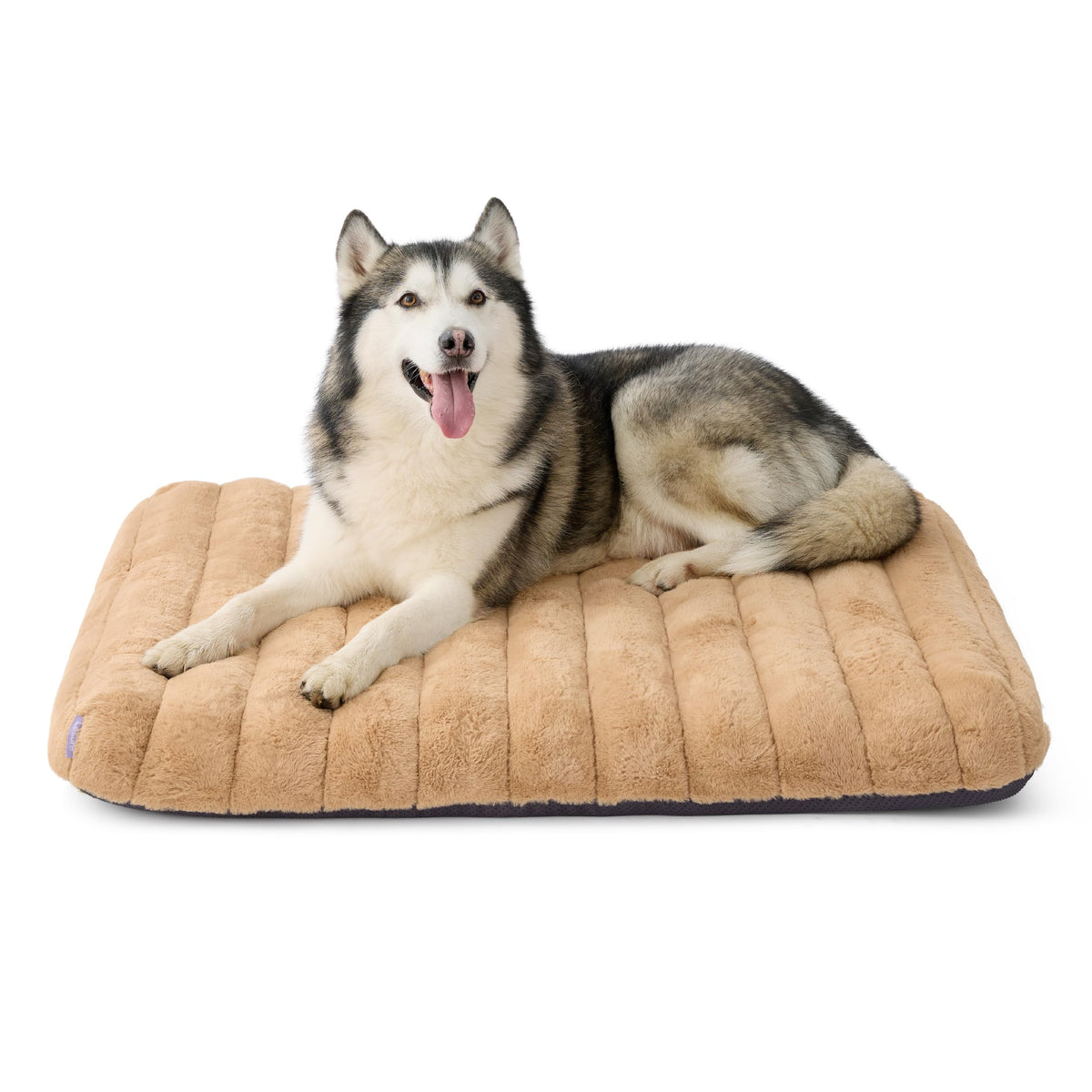 LE SURE Cute Orthopedic Dog Bed Medium Size Dog, Waterproof Chic Flat Pet Beds with Removable Washable Cover, Fuzzy Thick Egg Crate Foam Pet Mat for Indoor Use (30" x 20", Brown)