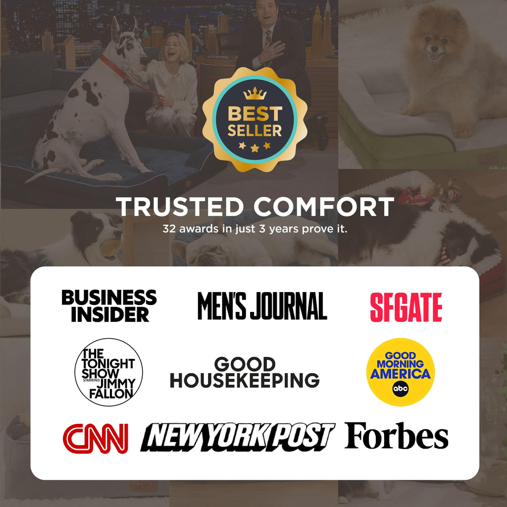 Bedsure Orthopedic Dog Beds for Small Dogs - Washable Small Dog Cat Bed Waterproof, Comfort Pet Couch Sofa with Washable Removable Cover, Pets Bed with Nonskid Bottom, Plush-Black, 24"