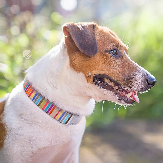 AirTag Dog Collar for Small Medium Large Breed - Adjustable Cute Pattern Dog Collar with Airtag Holder - Soft Leather Tracker GPS Apple Air Tag Pet Collars (Medium, 14"-18" Neck Fit, Serape)