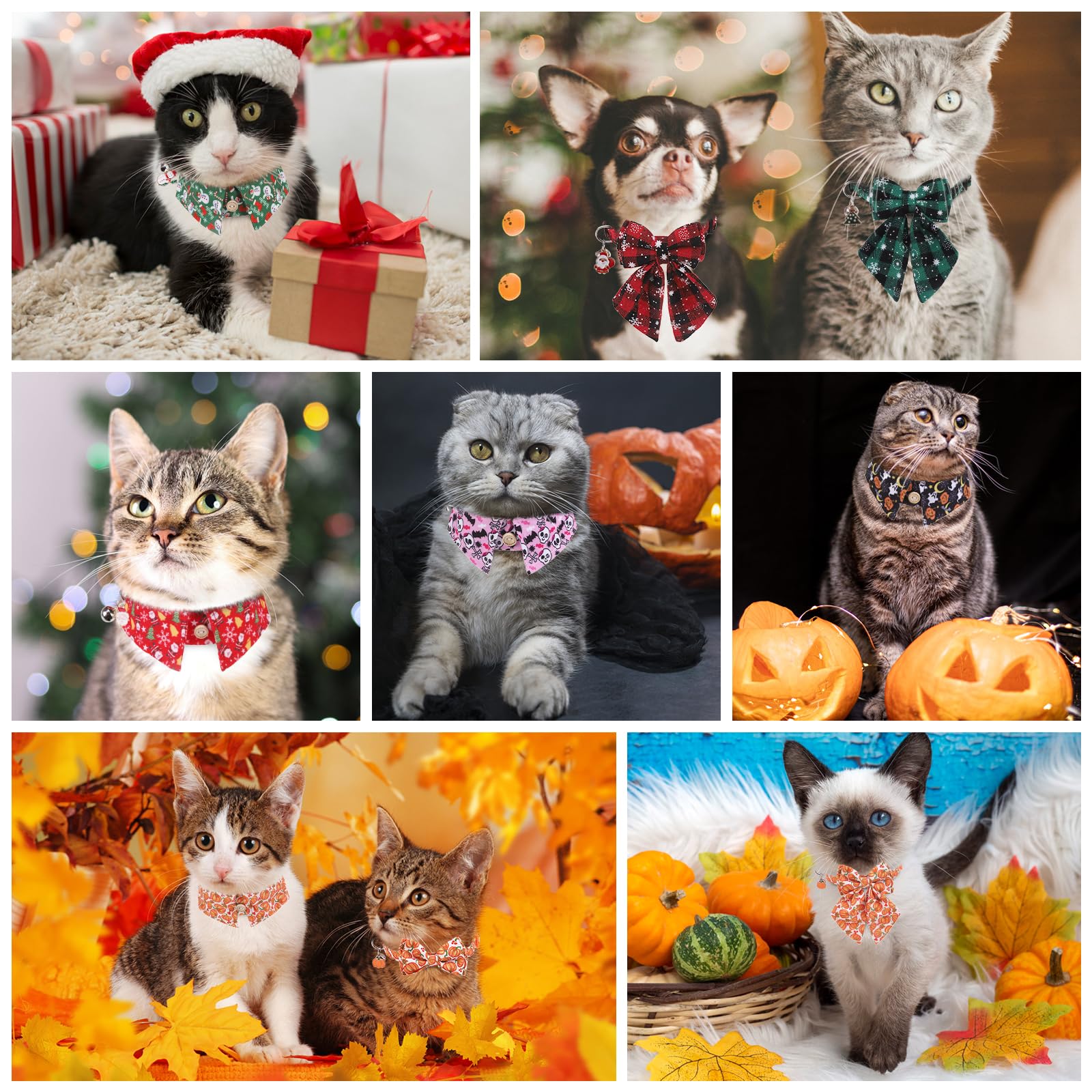 DILLYBUD Thanksgiving Cat Collar Breakaway, Soft Kitten Collars with Bell